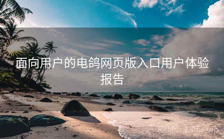 面向用户的电鸽网页版入口用户体验报告