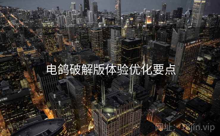 电鸽破解版体验优化要点