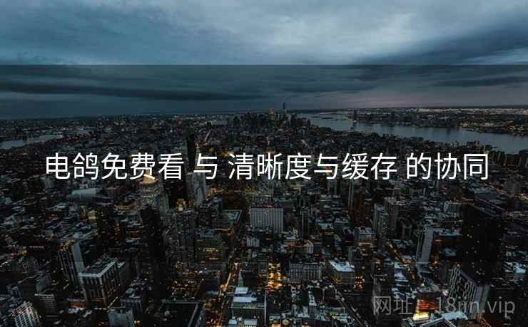 电鸽免费看 与 清晰度与缓存 的协同