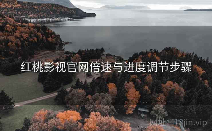 红桃影视官网倍速与进度调节步骤
