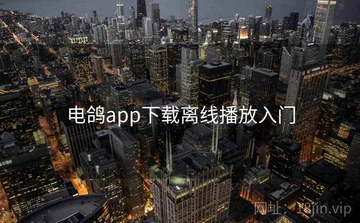 电鸽app下载离线播放入门