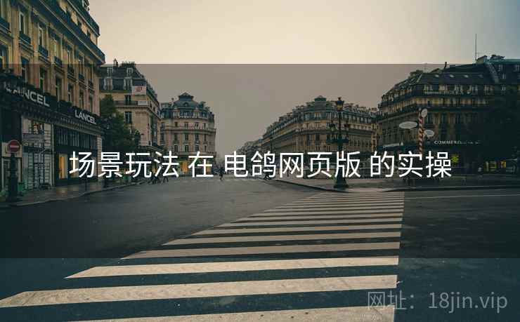 场景玩法 在 电鸽网页版 的实操