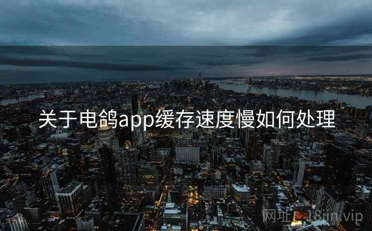 关于电鸽app缓存速度慢如何处理