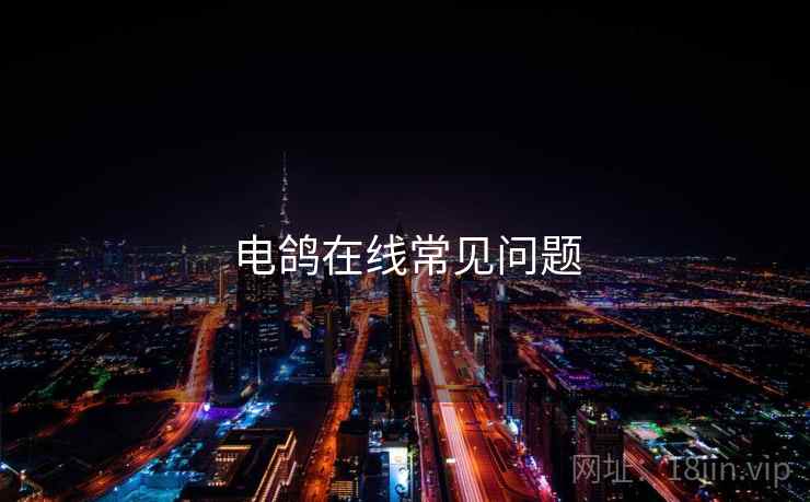电鸽在线常见问题