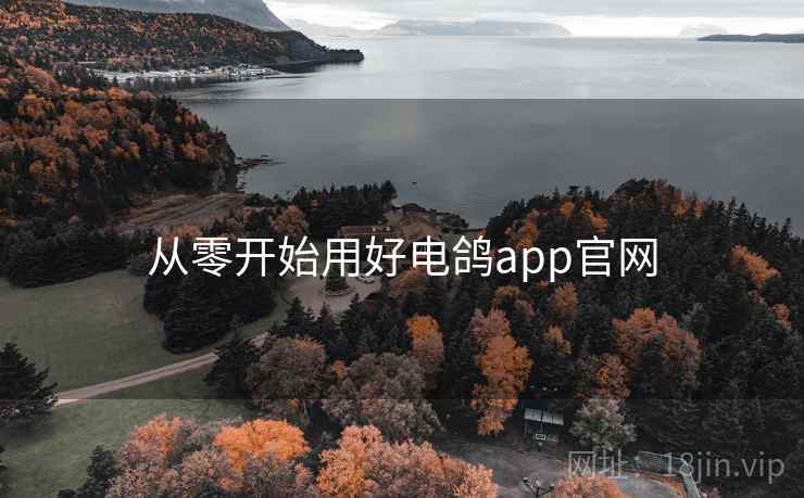 从零开始用好电鸽app官网