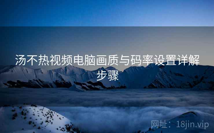 汤不热视频电脑画质与码率设置详解步骤