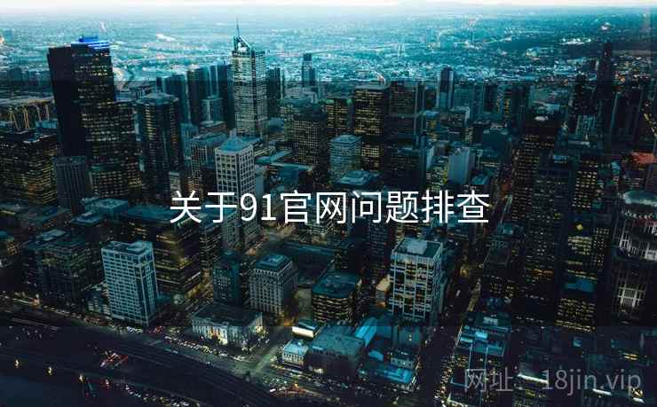 关于91官网问题排查