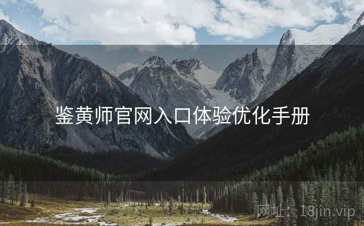 鉴黄师官网入口体验优化手册