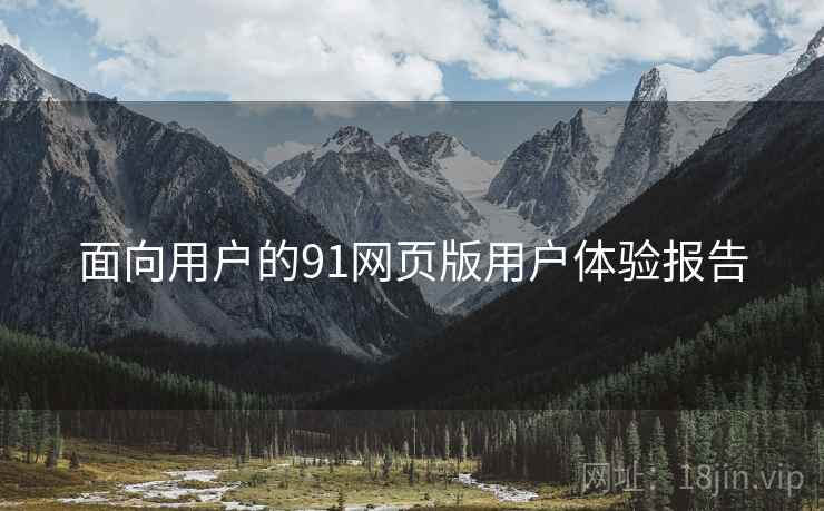 面向用户的91网页版用户体验报告