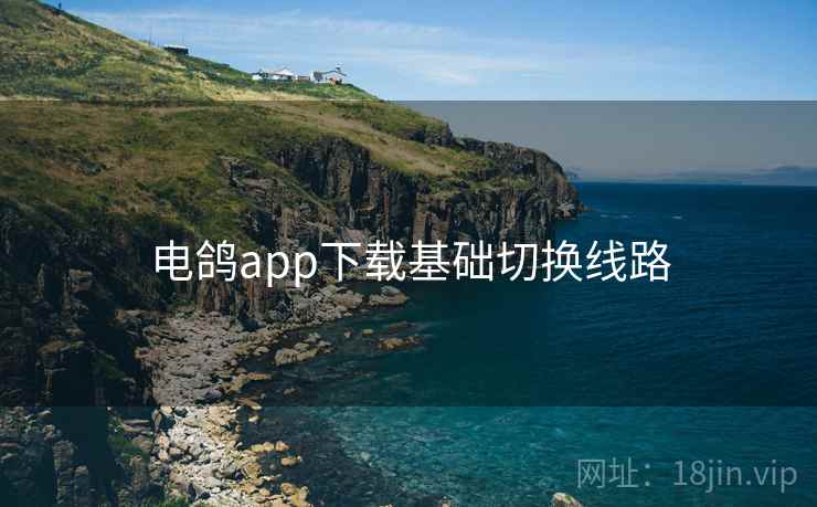 电鸽app下载基础切换线路