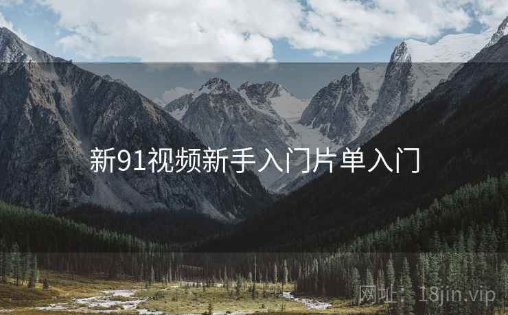 新91视频新手入门片单入门