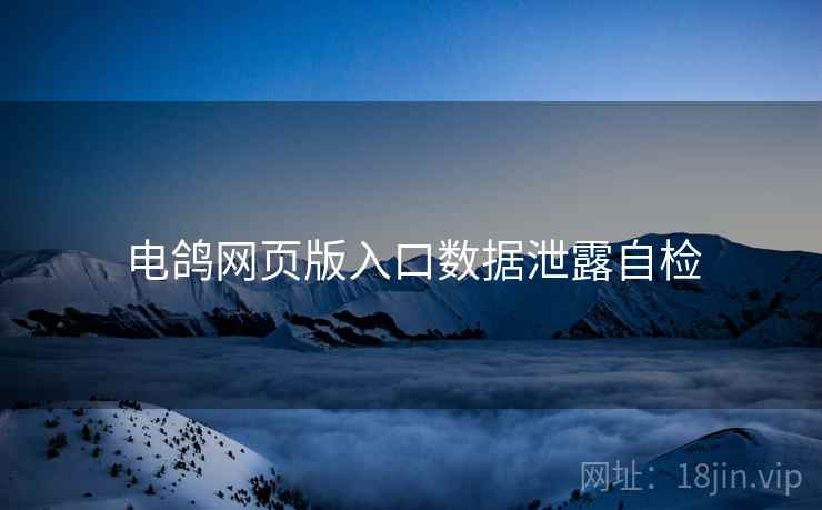 电鸽网页版入口数据泄露自检
