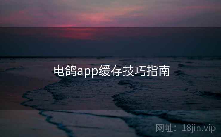 电鸽app缓存技巧指南