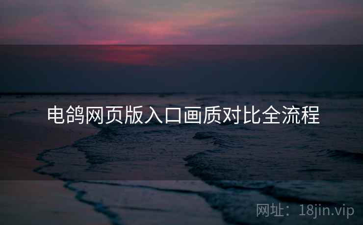 电鸽网页版入口画质对比全流程