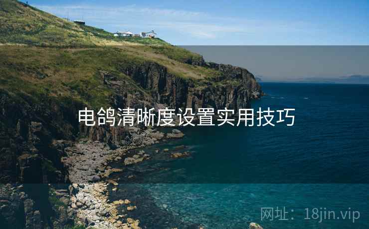 电鸽清晰度设置实用技巧