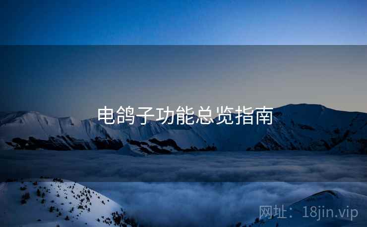 电鸽子功能总览指南