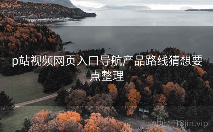 p站视频网页入口导航产品路线猜想要点整理